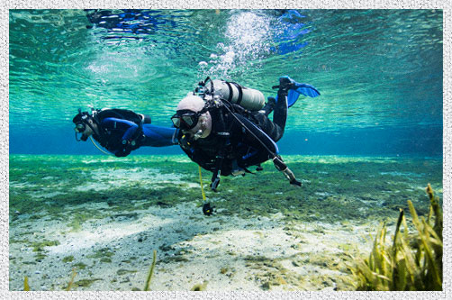 Alexander Springs