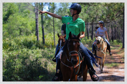 Rock Springs Riding Ranch